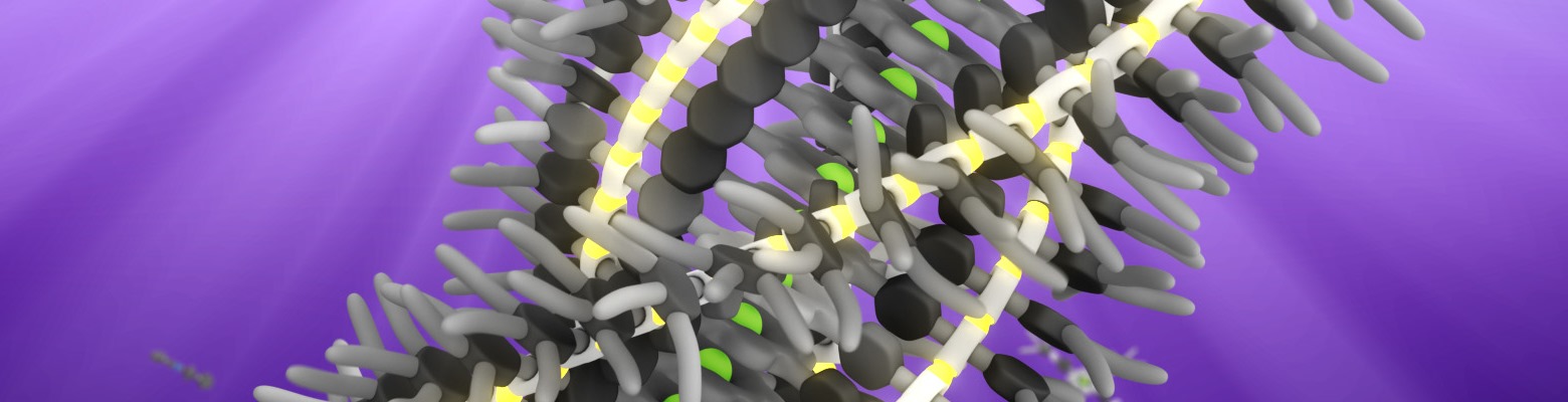 multi_component-banner_crop